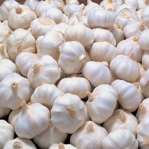 Kamdhenu Agri Exports